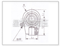 C25、D25系列高壓重型液壓缸